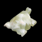 Afghan Jade Turtle hand-carved 78*61*30mm 181g in sunlight - Rocks and Things Store