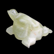 Afghan Jade Turtle hand-carved 78*61*30mm 181g in sunlight - Rocks and Things Store