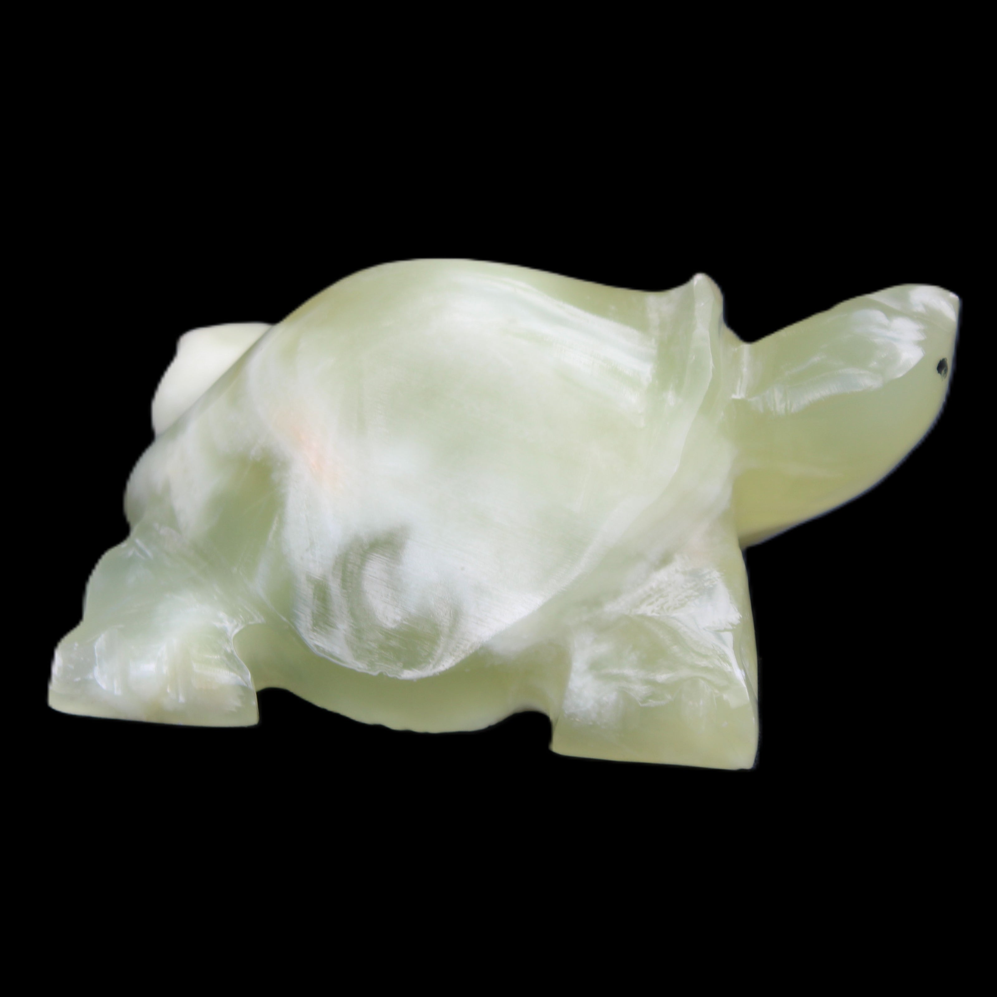 Afghan Jade Turtle hand-carved 78*61*30mm 181g in sunlight - Rocks and Things Store