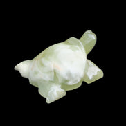 Afghan Jade Turtle hand-carved 78*61*30mm 181g in sunlight - Rocks and Things Store