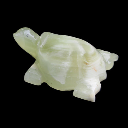Afghan Jade Turtle hand-carved 78*61*30mm 181g in sunlight - Rocks and Things Store
