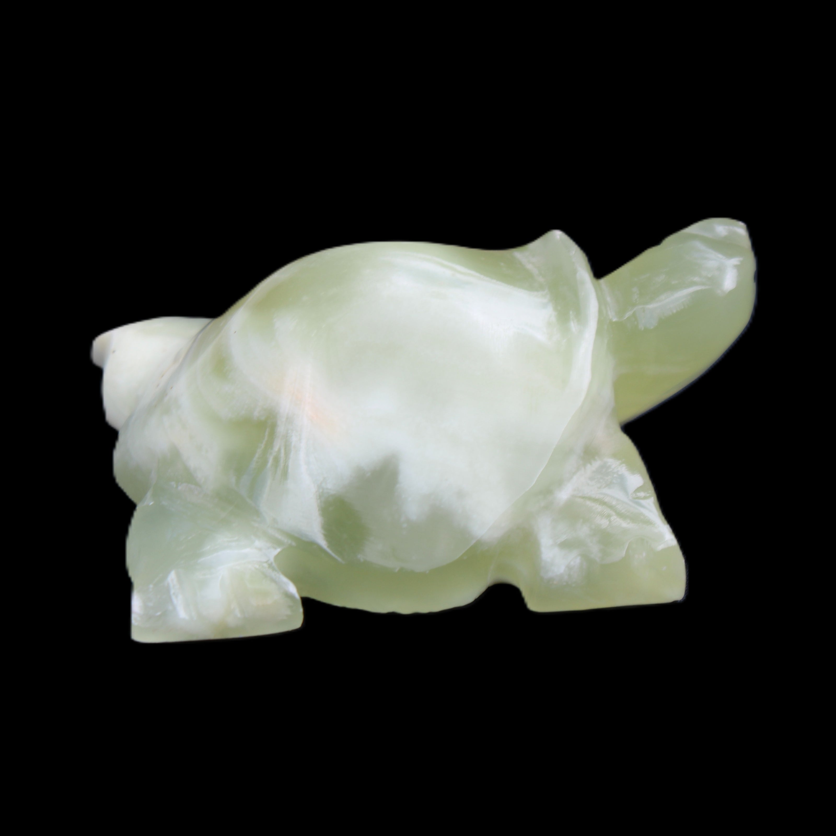 Afghan Jade Turtle hand-carved 78*61*30mm 181g in sunlight - Rocks and Things Store