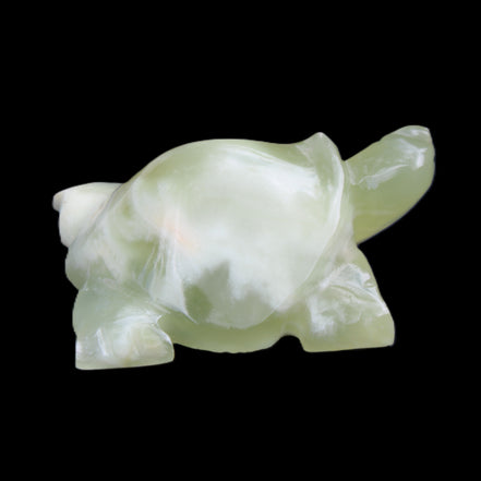 Afghan Jade Turtle hand-carved 78*61*30mm 181g in sunlight - Rocks and Things Store