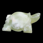Afghan Jade Turtle hand-carved 78*61*30mm 181g in sunlight - Rocks and Things Store