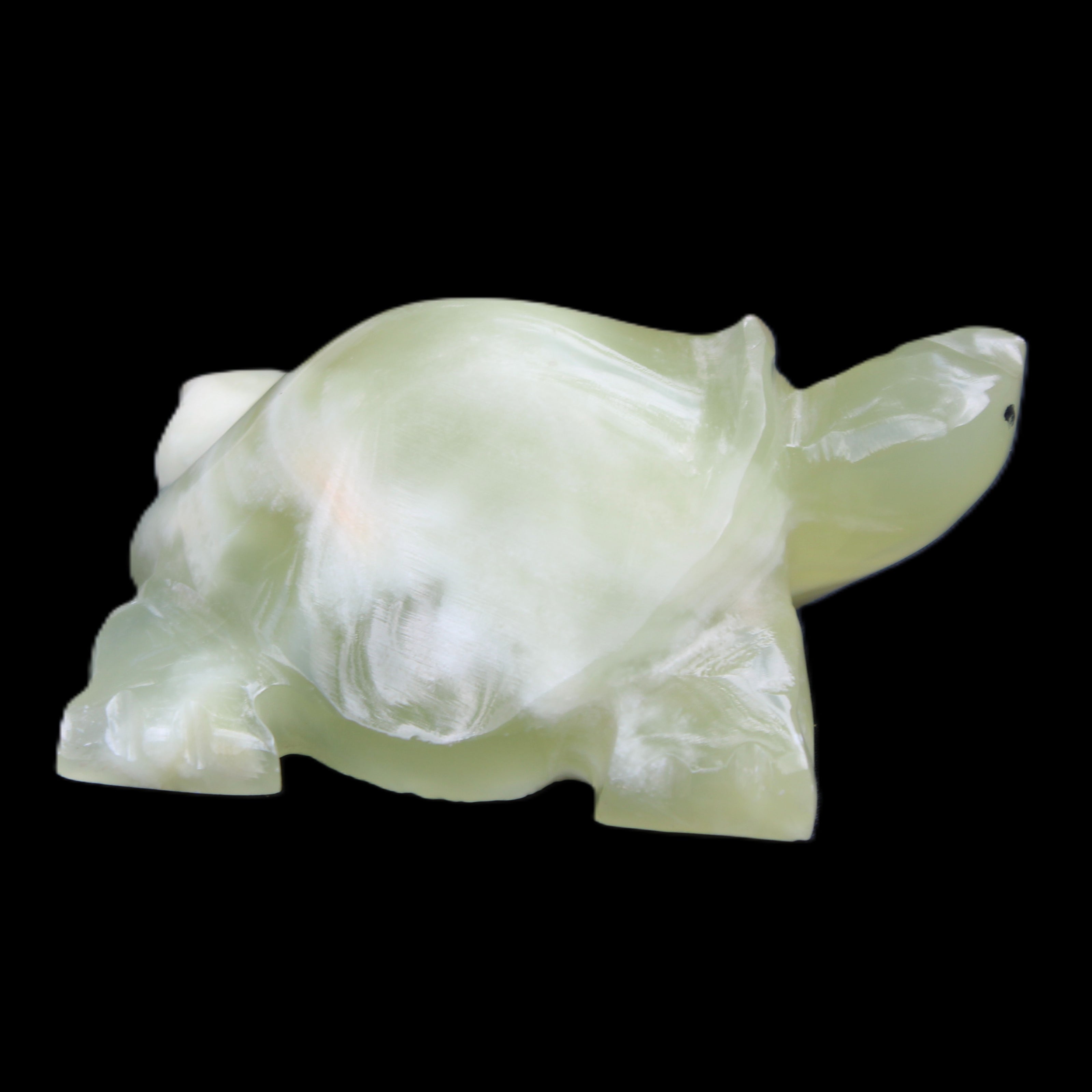 Afghan Jade Turtle hand-carved 78*61*30mm 181g in sunlight - Rocks and Things Store