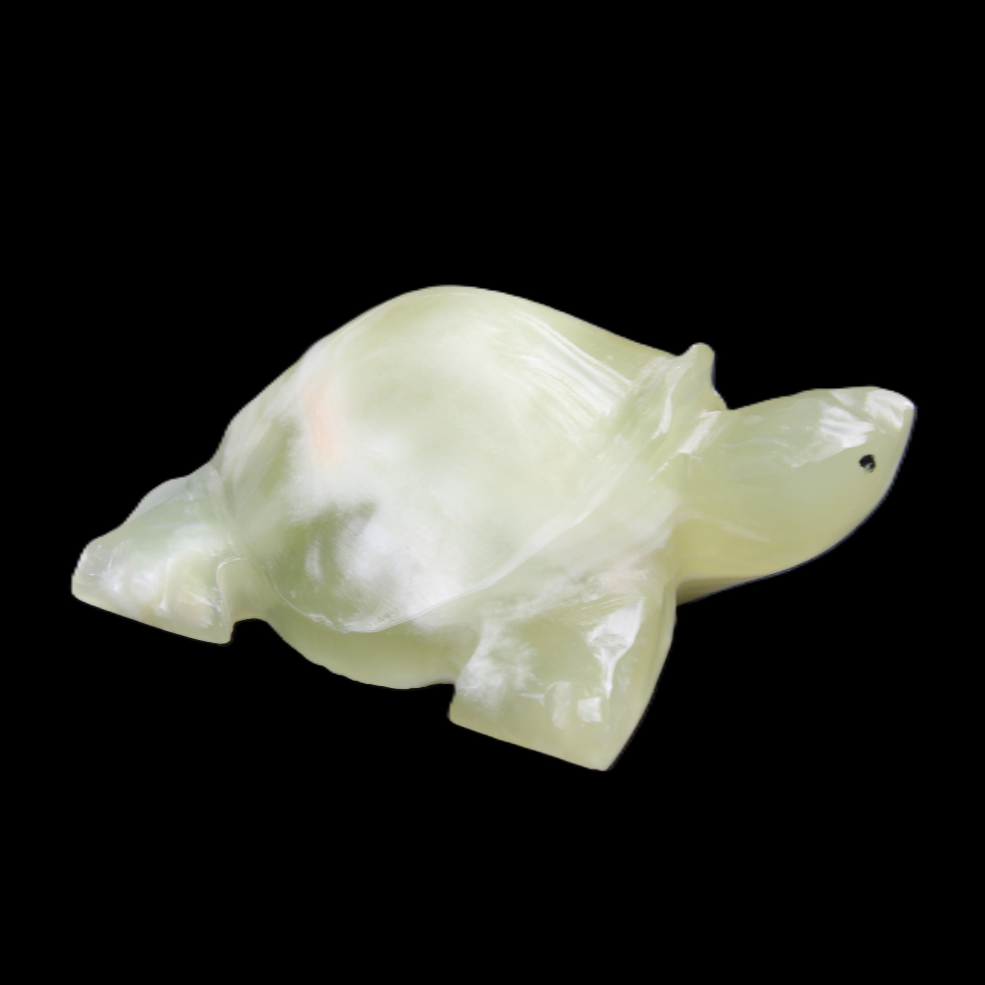 Afghan Jade Turtle hand-carved 78*61*30mm 181g in sunlight - Rocks and Things Store