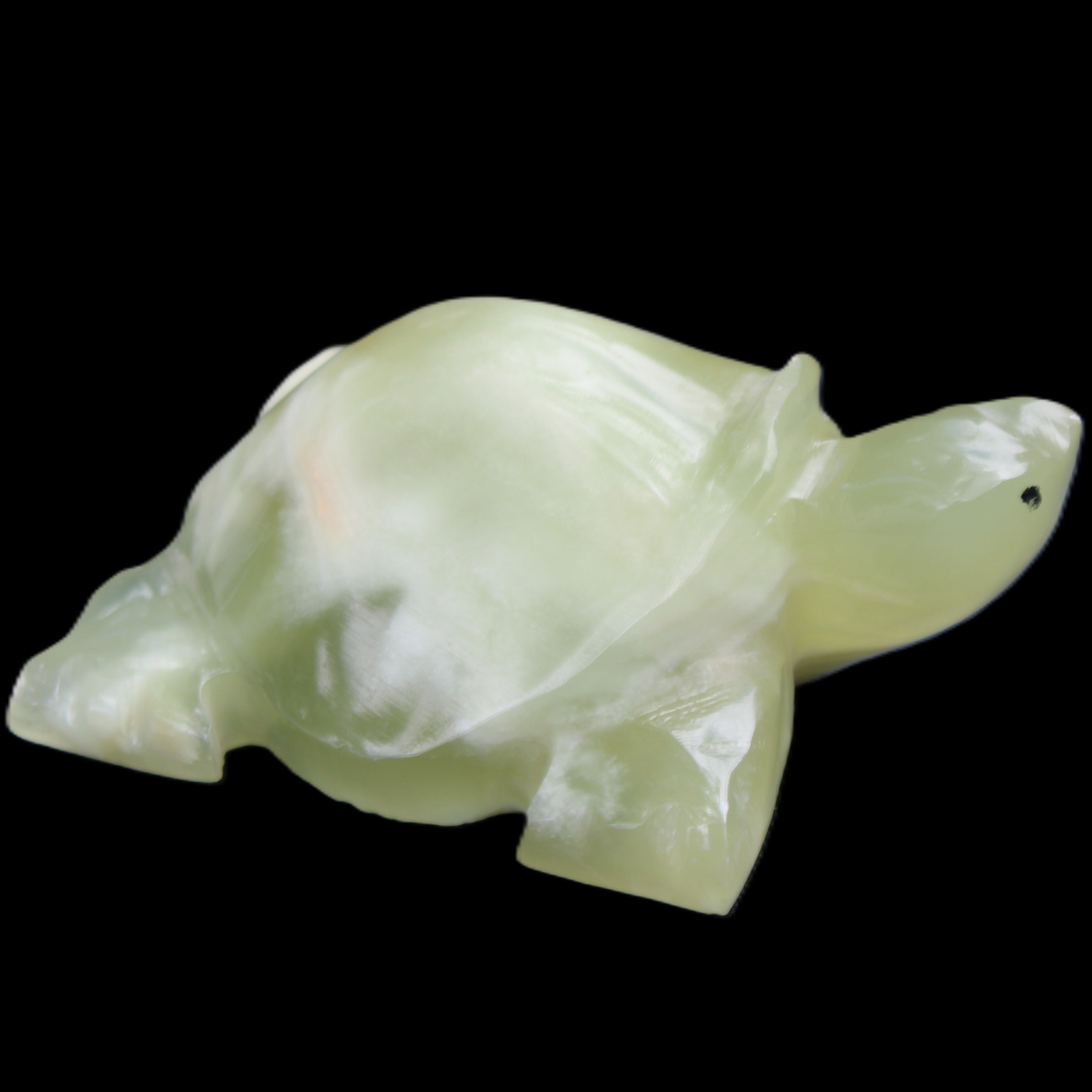 Afghan Jade Turtle hand-carved 78*61*30mm 181g in sunlight - Rocks and Things Store