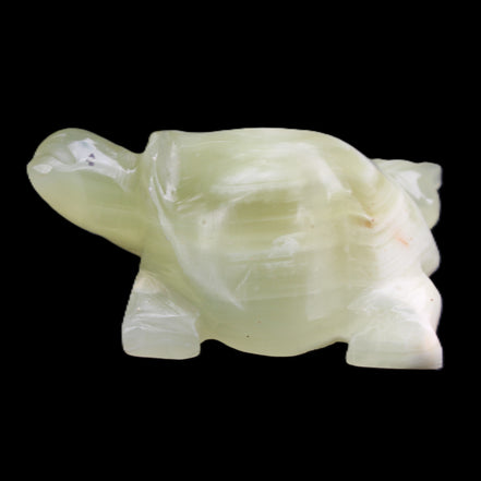 Afghan Jade Turtle hand-carved 78*61*30mm 181g in sunlight - Rocks and Things Store