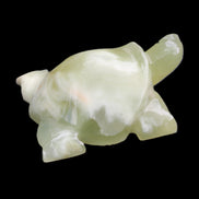 Afghan Jade Turtle hand-carved 78*61*30mm 181g in sunlight - Rocks and Things Store