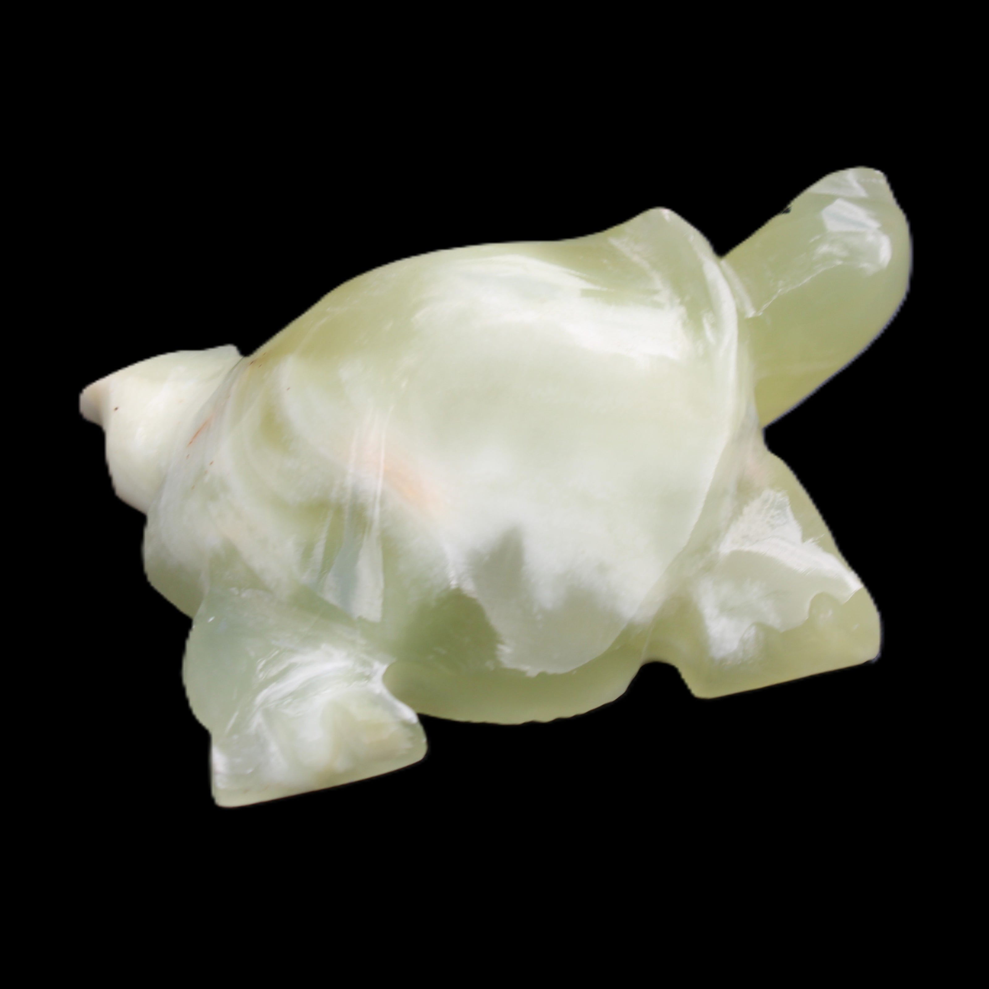 Afghan Jade Turtle hand-carved 78*61*30mm 181g in sunlight - Rocks and Things Store
