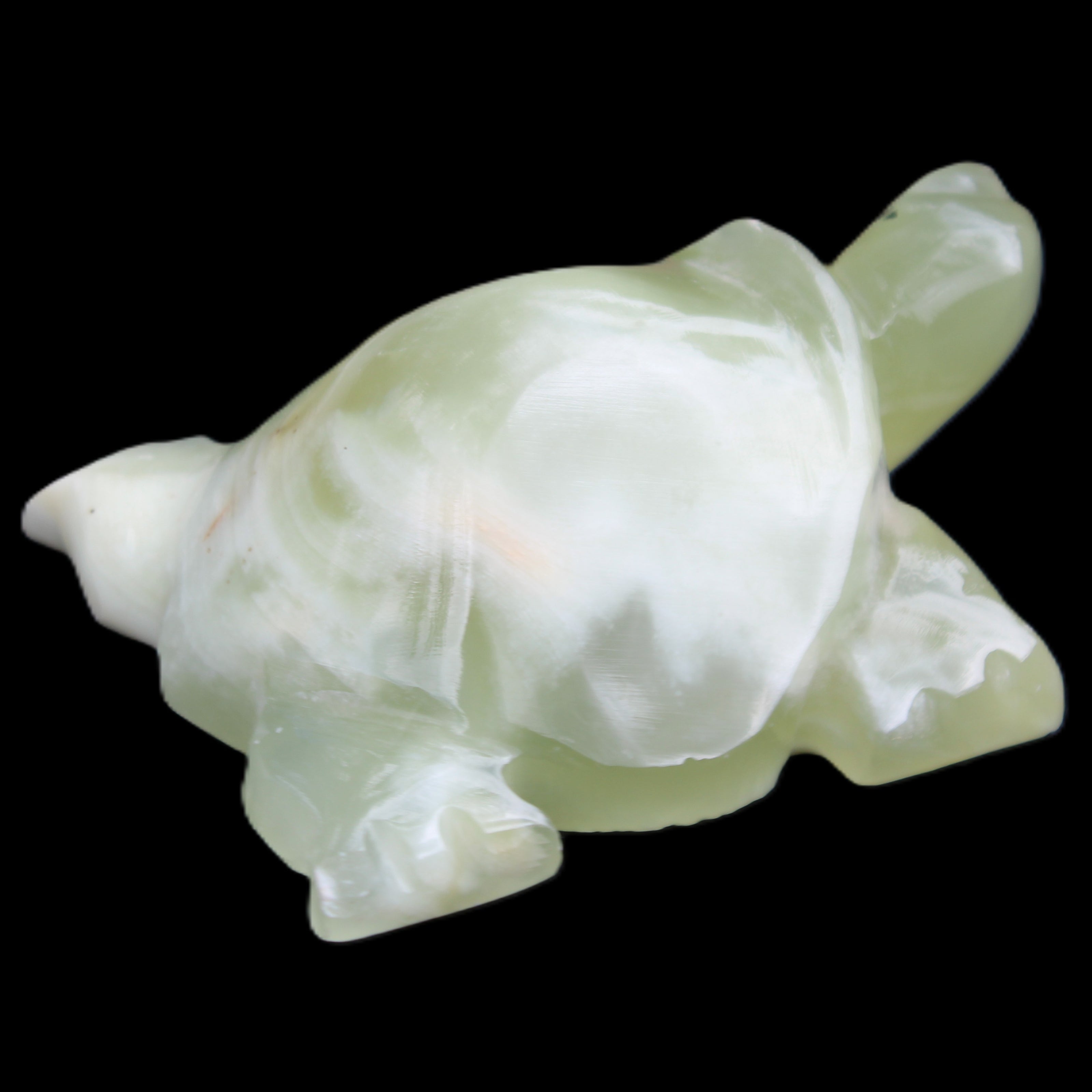 Afghan Jade Turtle hand-carved 78*61*30mm 181g in sunlight - Rocks and Things Store