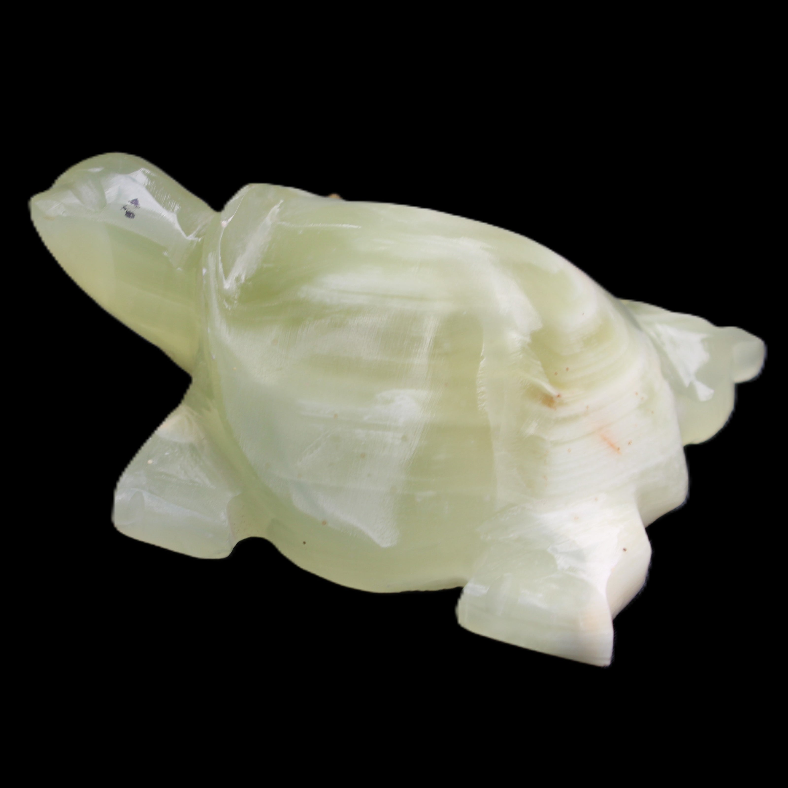 Afghan Jade Turtle hand-carved 78*61*30mm 181g in sunlight - Rocks and Things Store