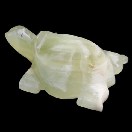 Afghan Jade Turtle hand-carved 78*61*30mm 181g in sunlight - Rocks and Things Store