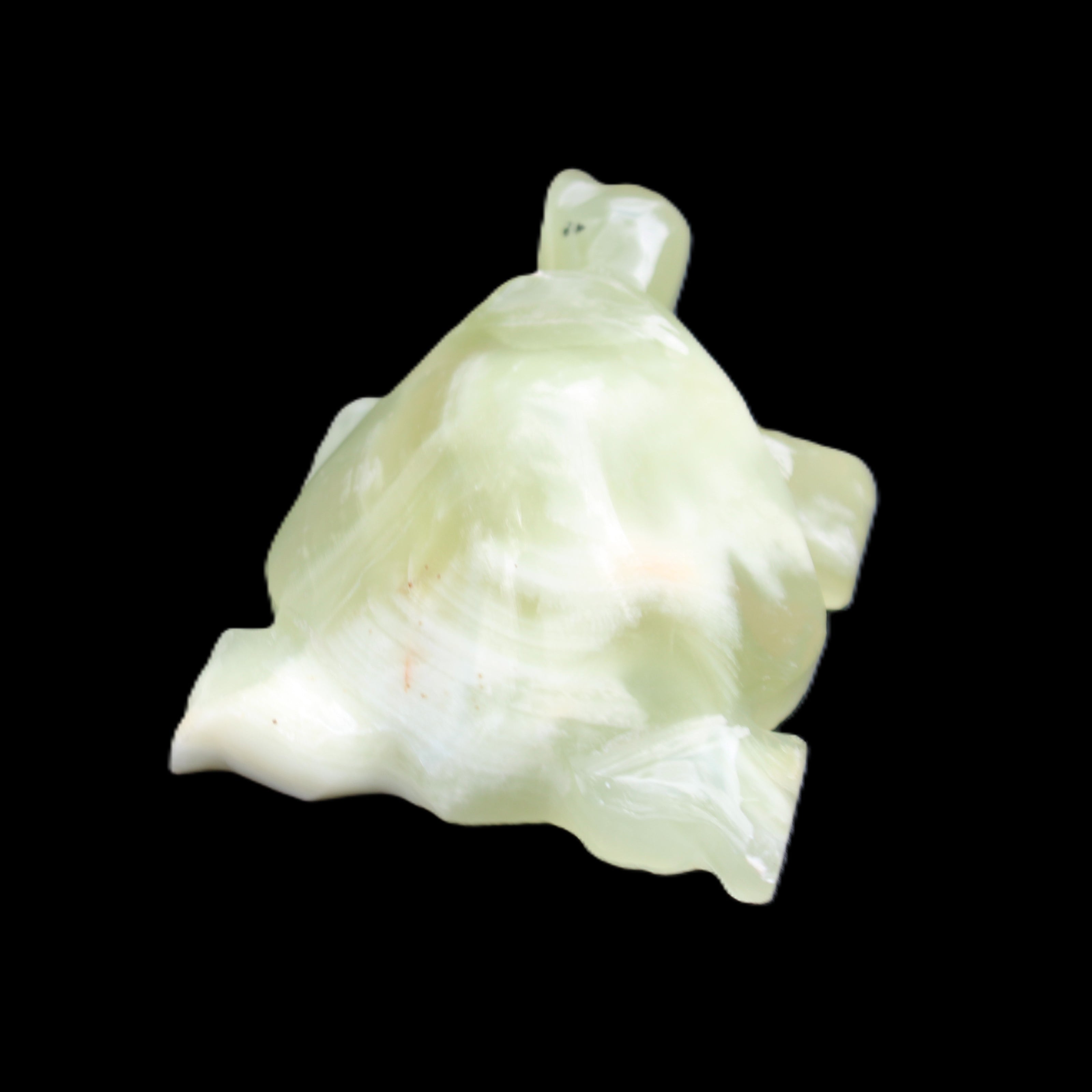 Afghan Jade Turtle hand-carved 78*61*30mm 181g in sunlight - Rocks and Things Store