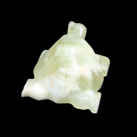 Afghan Jade Turtle hand-carved 78*61*30mm 181g in sunlight - Rocks and Things Store