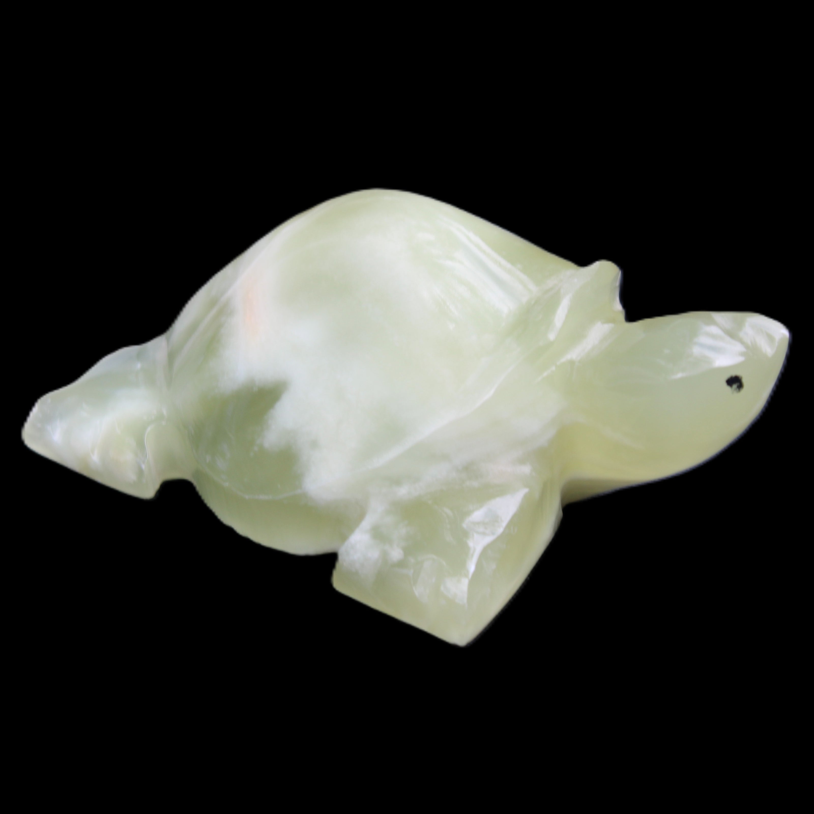 Afghan Jade Turtle hand-carved 78*61*30mm 181g in sunlight - Rocks and Things Store