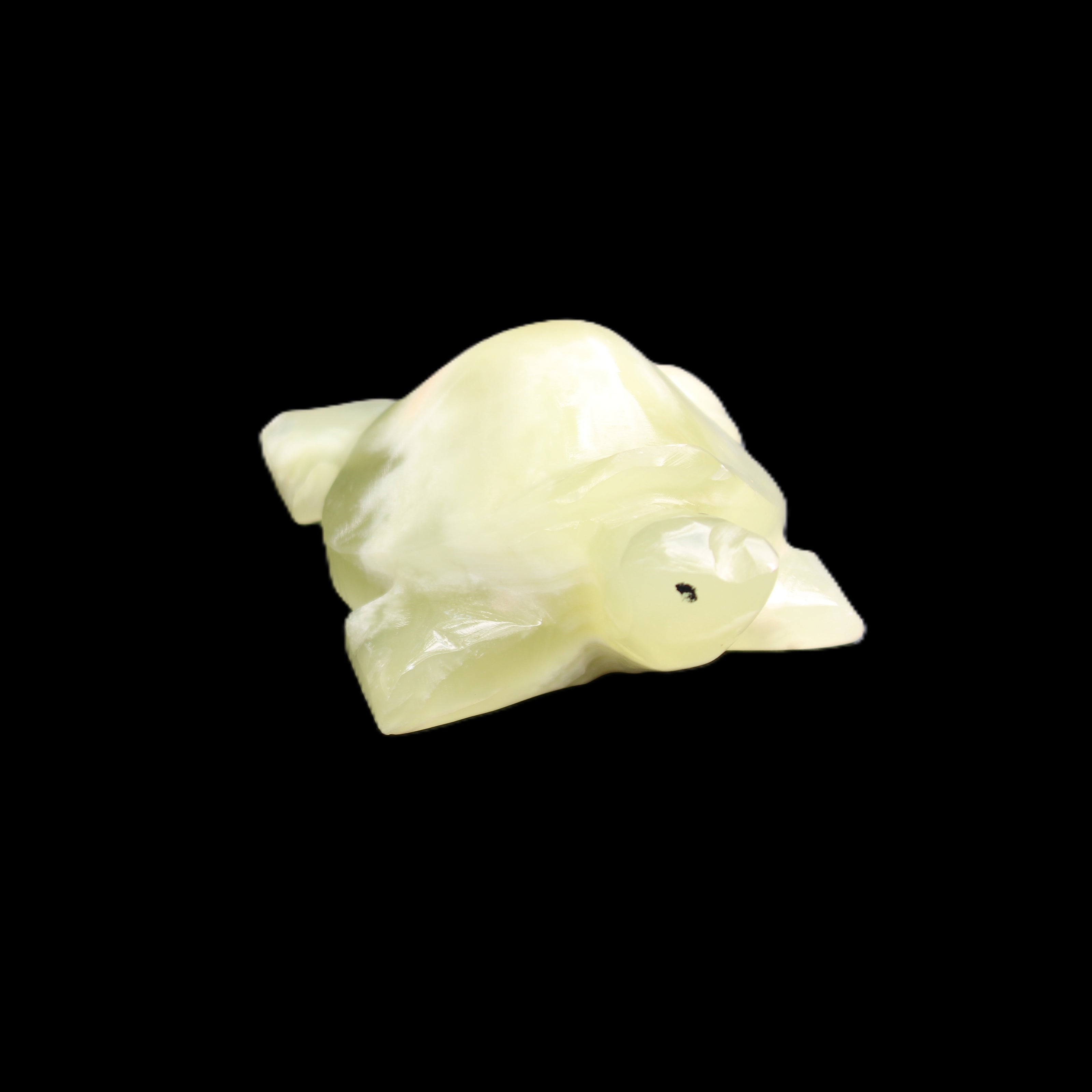 Afghan Jade Turtle hand-carved 78*61*30mm 181g in sunlight - Rocks and Things Store