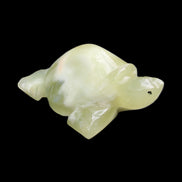 Afghan Jade Turtle hand-carved 78*61*30mm 181g in sunlight - Rocks and Things Store