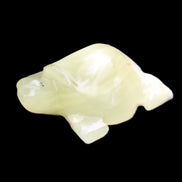 Afghan Jade Turtle hand-carved 78*61*30mm 181g in sunlight - Rocks and Things Store