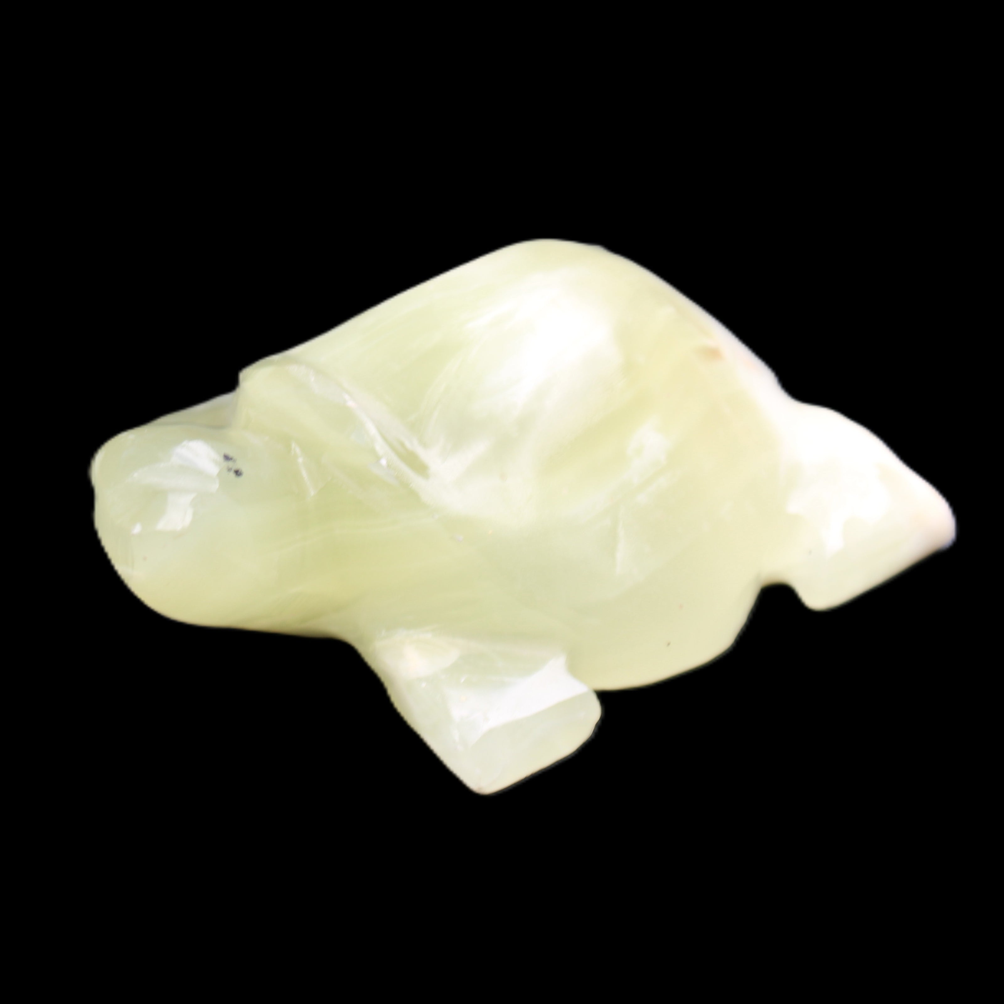 Afghan Jade Turtle hand-carved 78*61*30mm 181g in sunlight - Rocks and Things Store