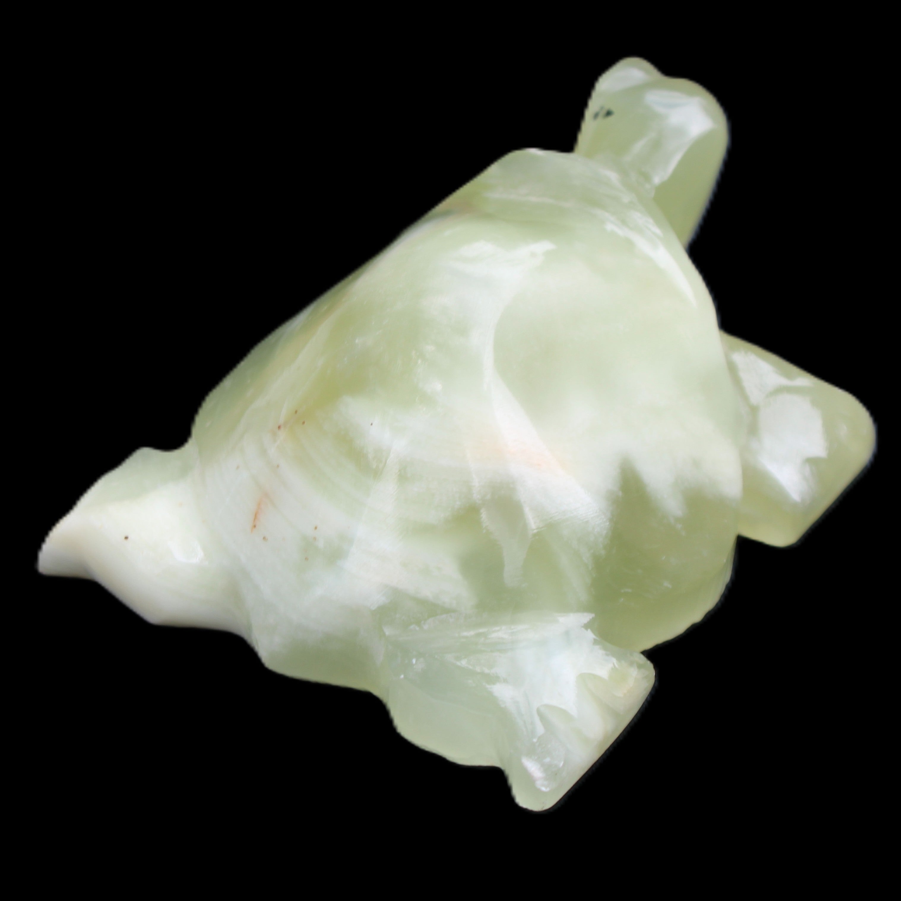 Afghan Jade Turtle hand-carved 78*61*30mm 181g in sunlight - Rocks and Things Store