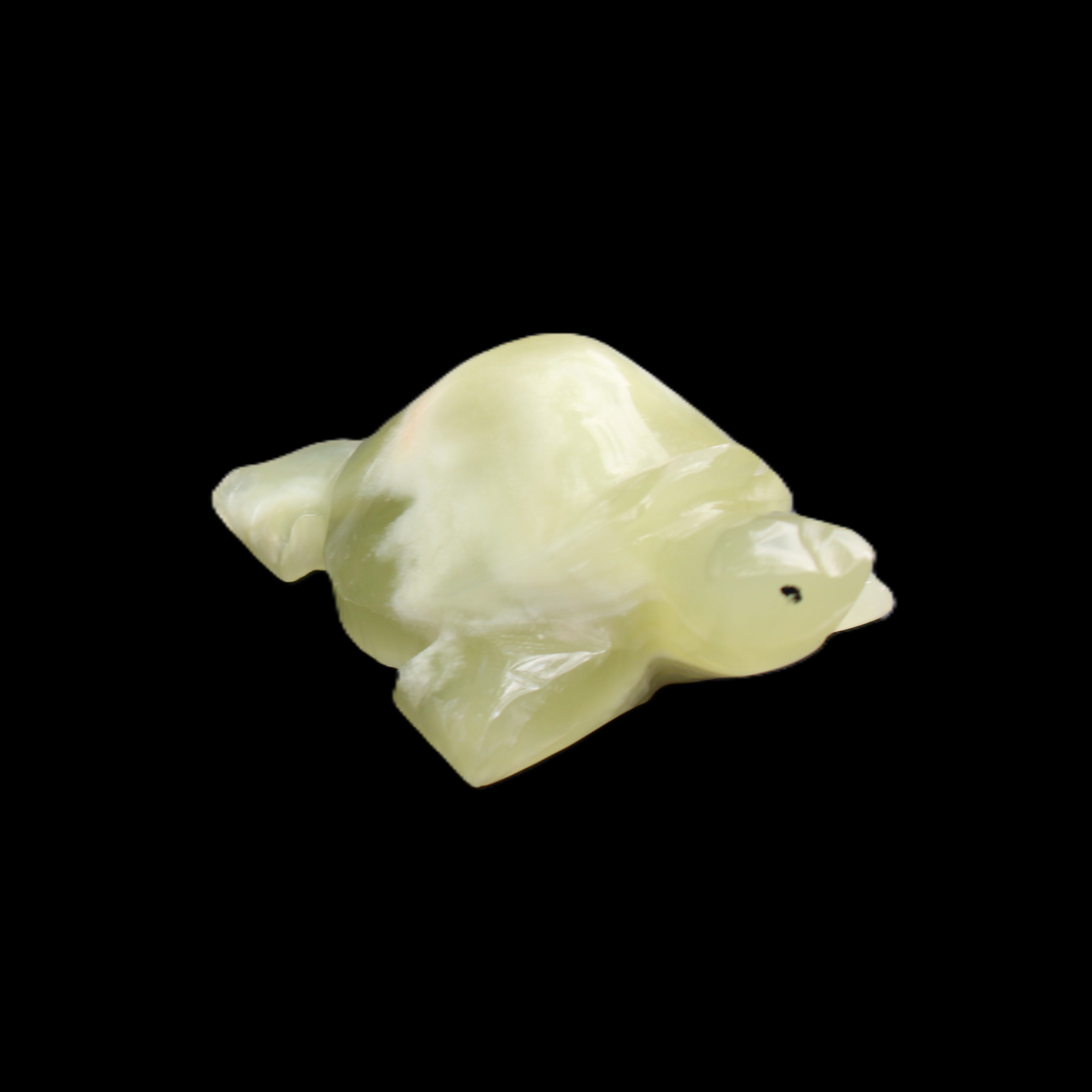 Afghan Jade Turtle hand-carved 78*61*30mm 181g in sunlight - Rocks and Things Store