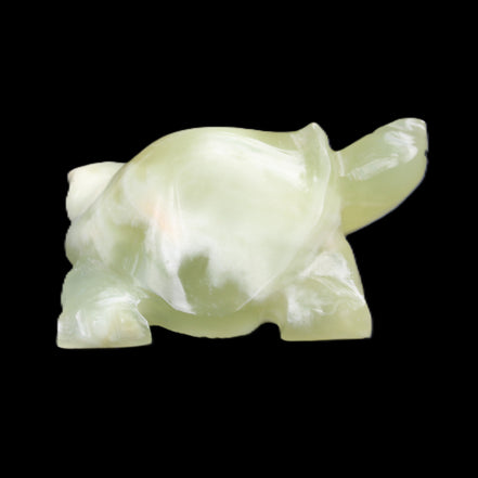 Afghan Jade Turtle hand-carved 78*61*30mm 181g in sunlight - Rocks and Things Store