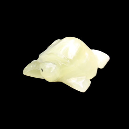 Afghan Jade Turtle hand-carved 78*61*30mm 181g in sunlight - Rocks and Things Store