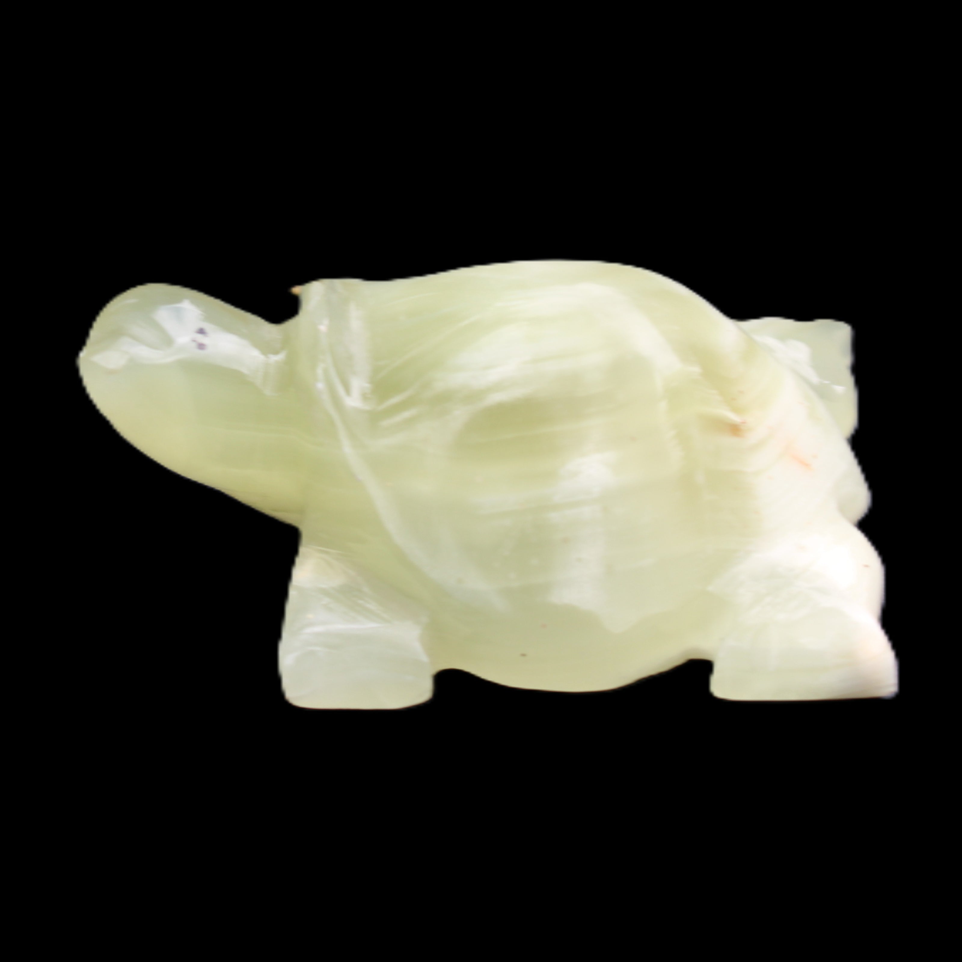 Afghan Jade Turtle hand-carved 78*61*30mm 181g in sunlight - Rocks and Things Store