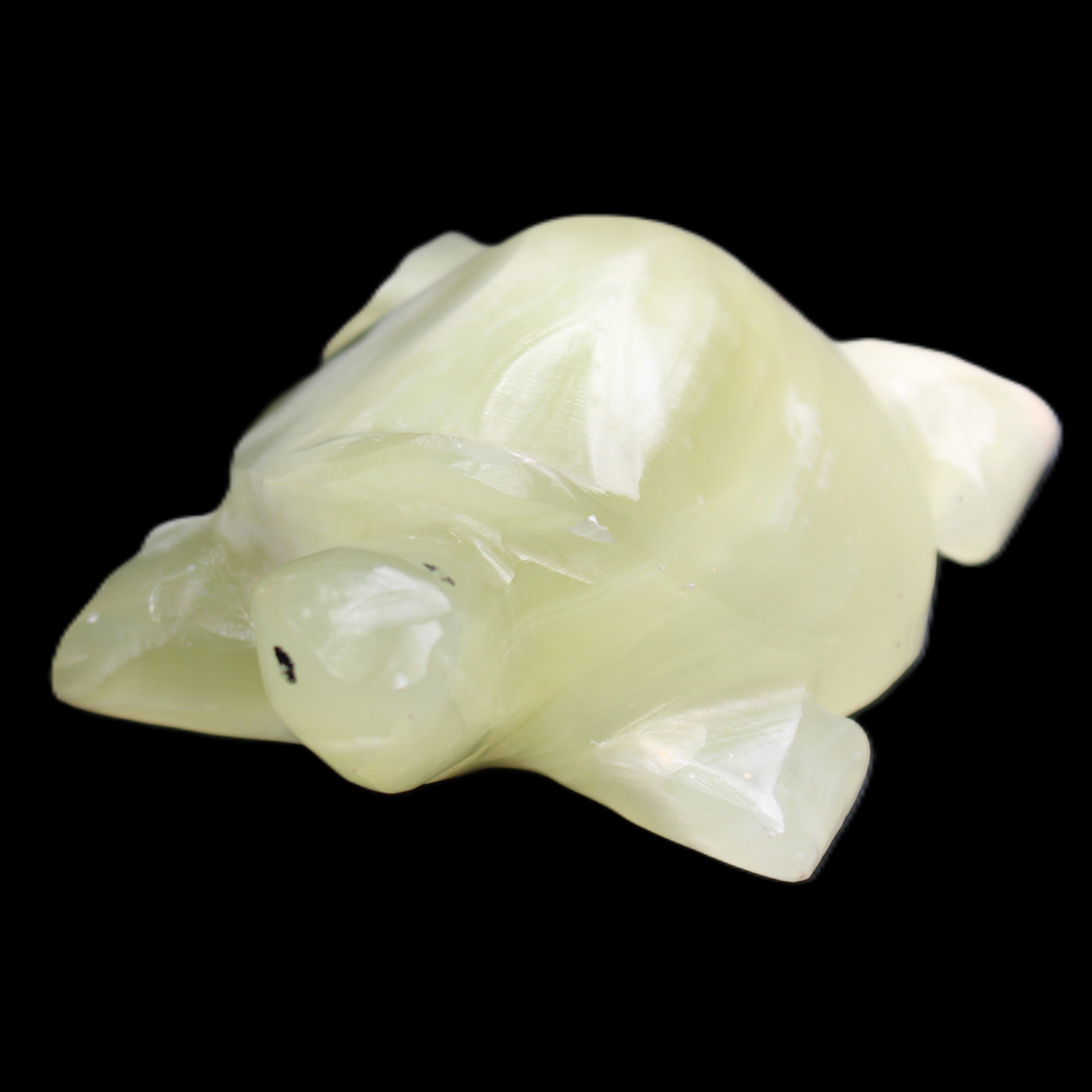 Afghan Jade Turtle hand-carved 78*61*30mm 181g in sunlight - Rocks and Things Store