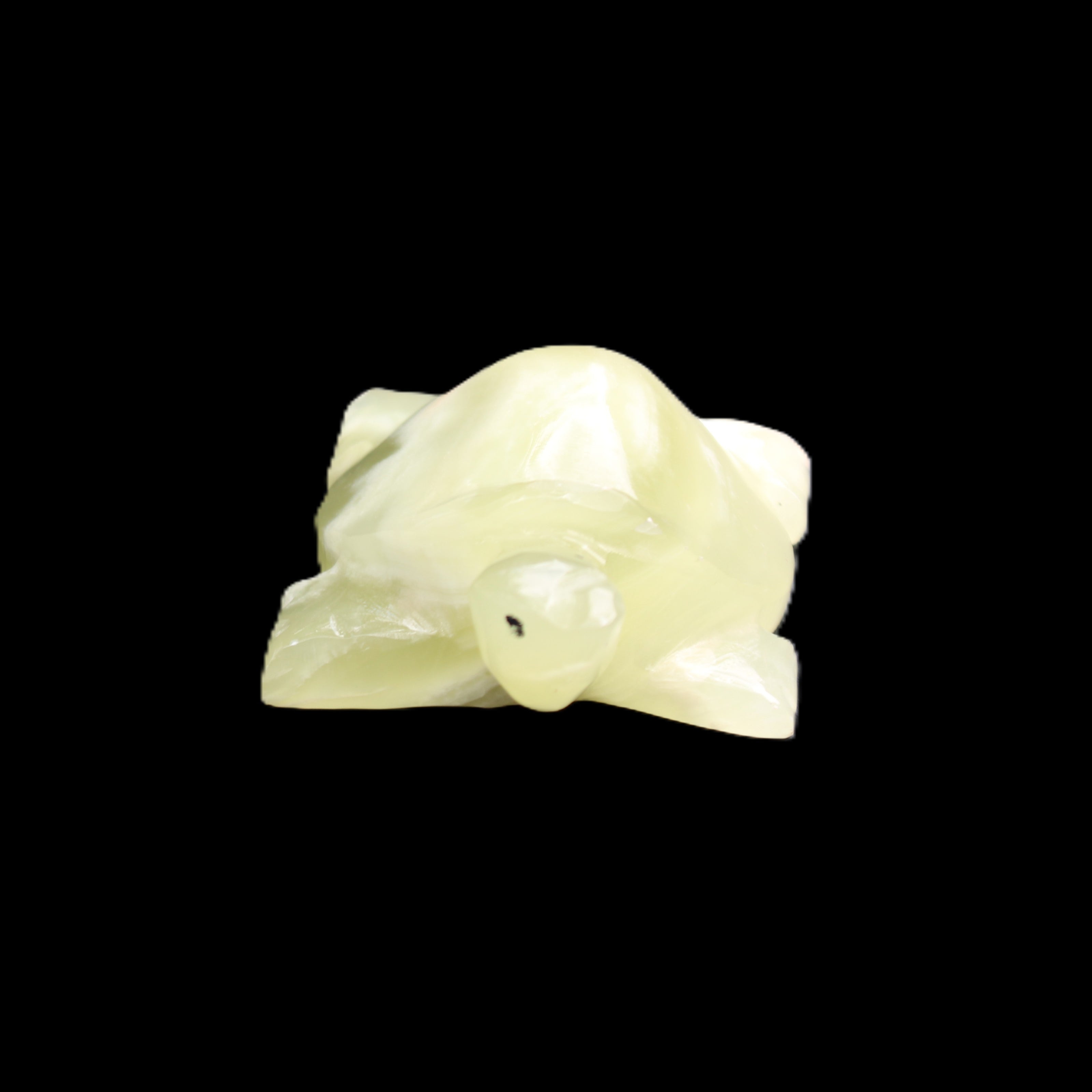 Afghan Jade Turtle hand-carved 78*61*30mm 181g in sunlight - Rocks and Things Store