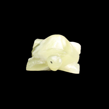 Afghan Jade Turtle hand-carved 78*61*30mm 181g in sunlight - Rocks and Things Store