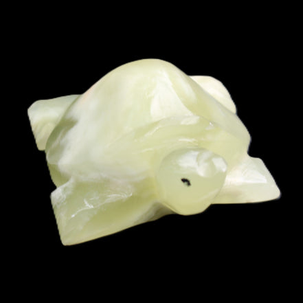 Afghan Jade Turtle hand-carved 78*61*30mm 181g in sunlight - Rocks and Things Store