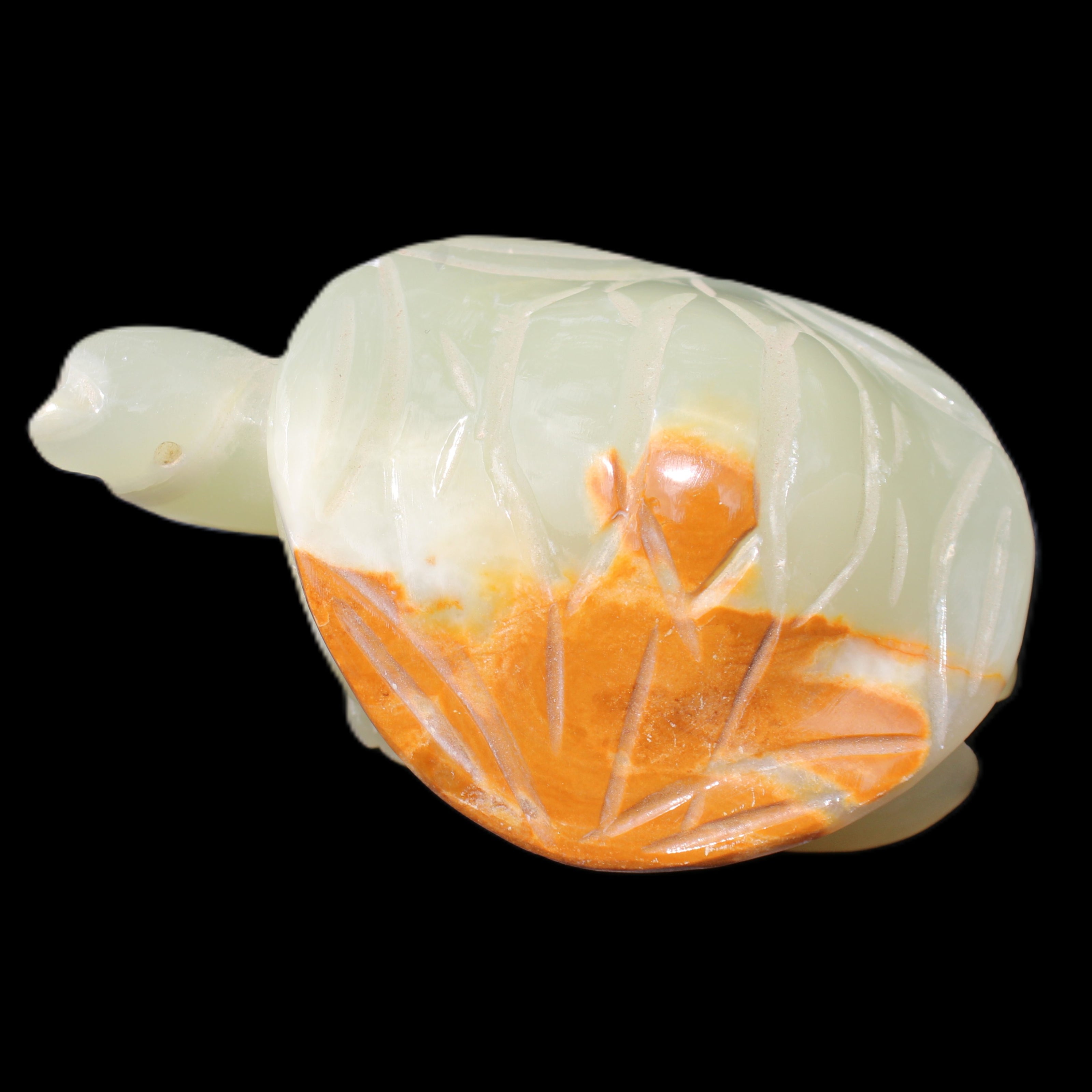 Afghan Jade Turtle hand-carved 85*60*37mm 183g in sunlight - Rocks and Things Store