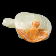 Afghan Jade Turtle hand-carved 85*60*37mm 183g in sunlight - Rocks and Things Store