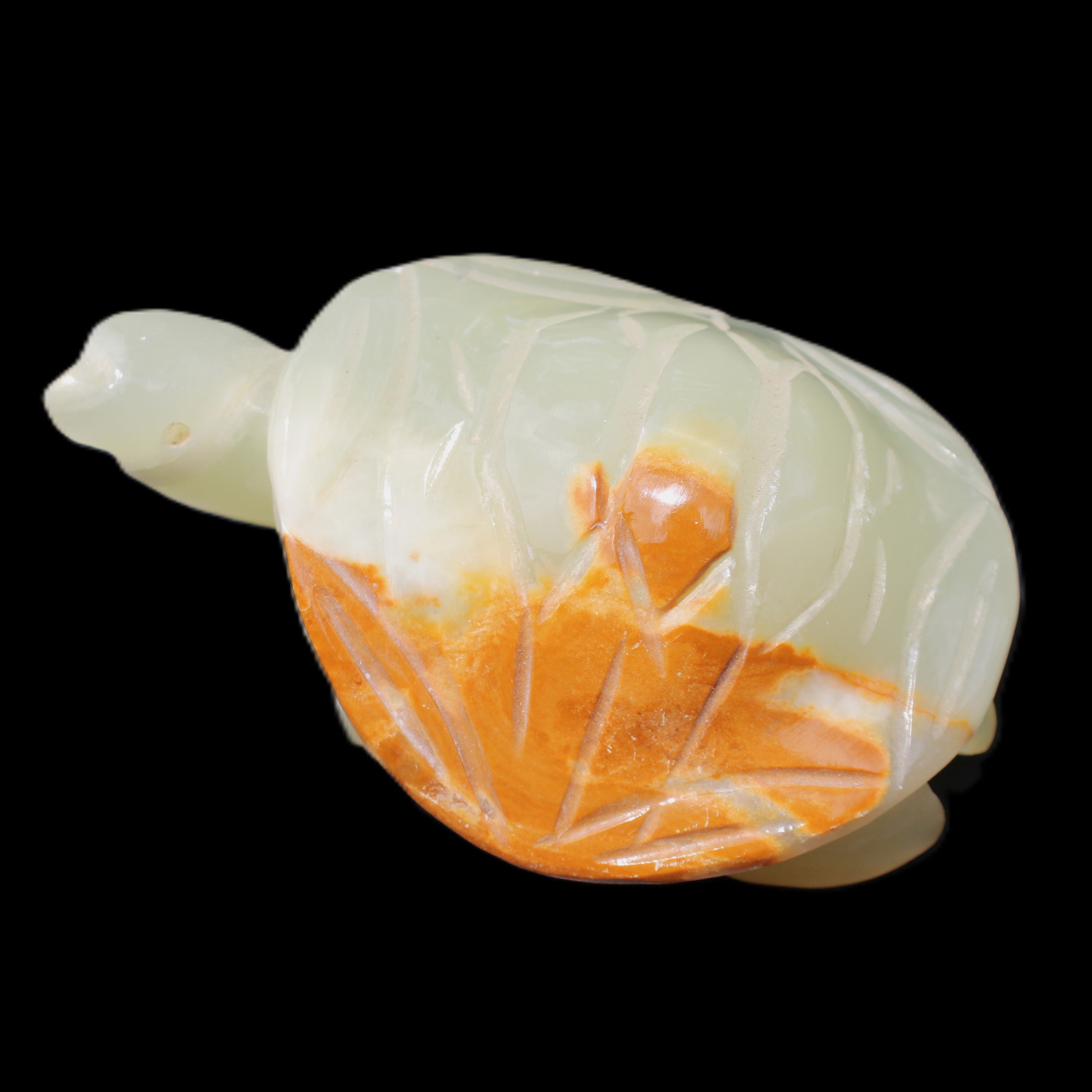 Afghan Jade Turtle hand-carved 85*60*37mm 183g in sunlight - Rocks and Things Store
