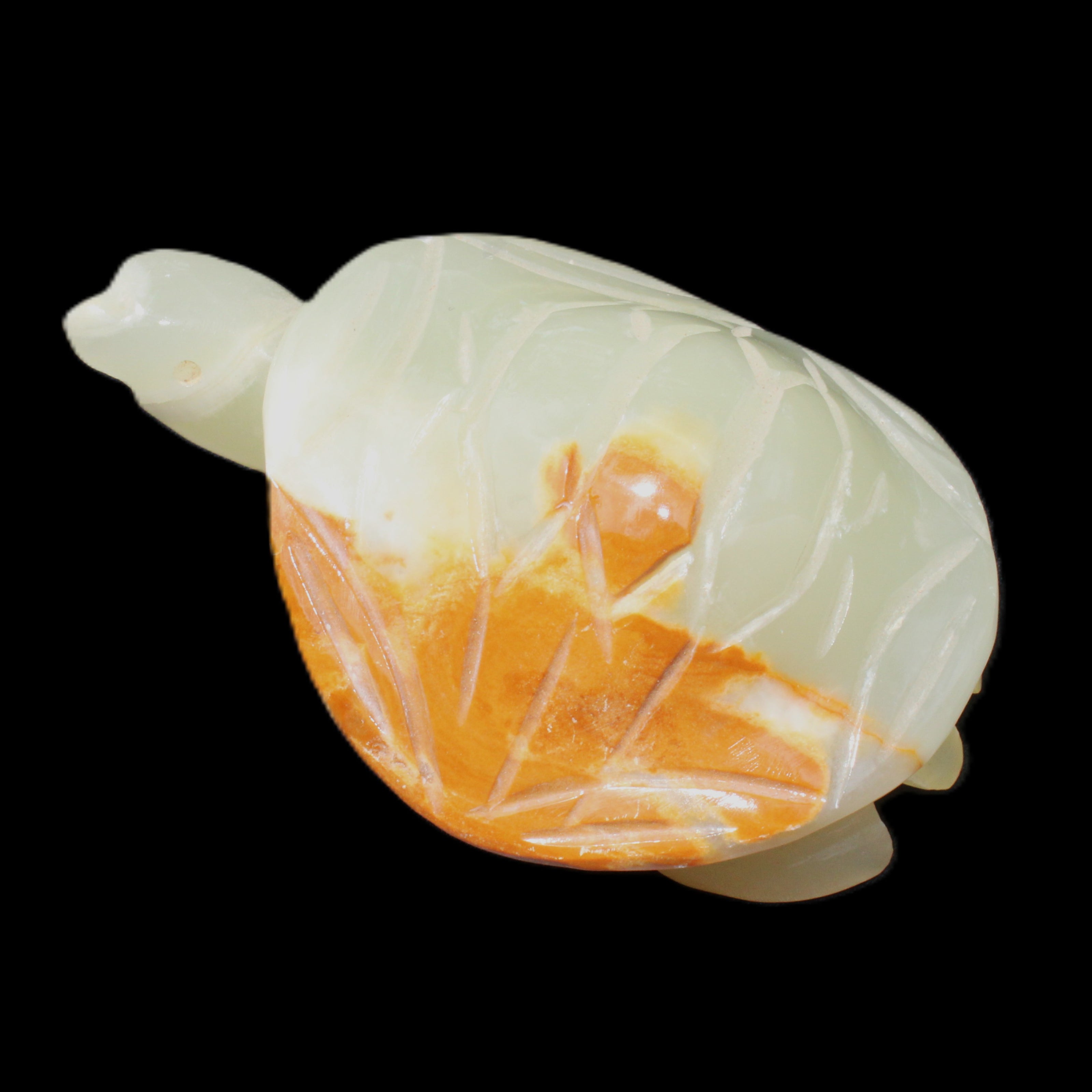 Afghan Jade Turtle hand-carved 85*60*37mm 183g in sunlight - Rocks and Things Store