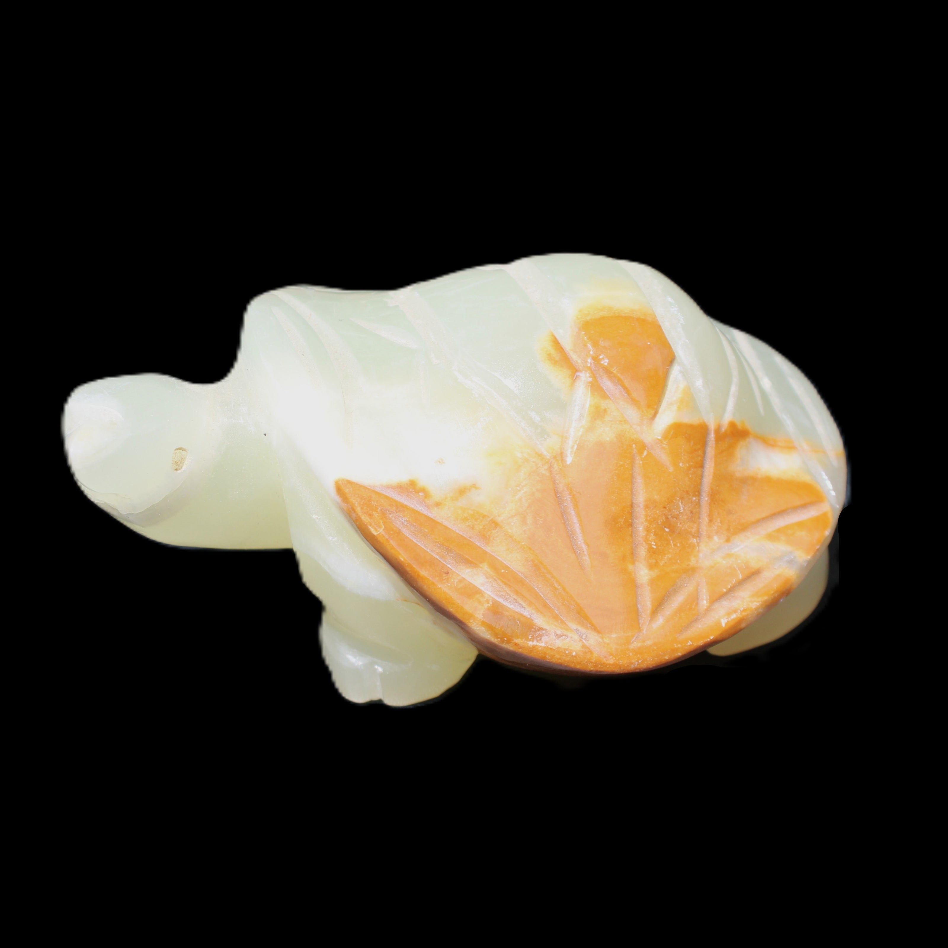 Afghan Jade Turtle hand-carved 85*60*37mm 183g in sunlight - Rocks and Things Store