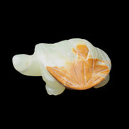 Afghan Jade Turtle hand-carved 85*60*37mm 183g in sunlight - Rocks and Things Store