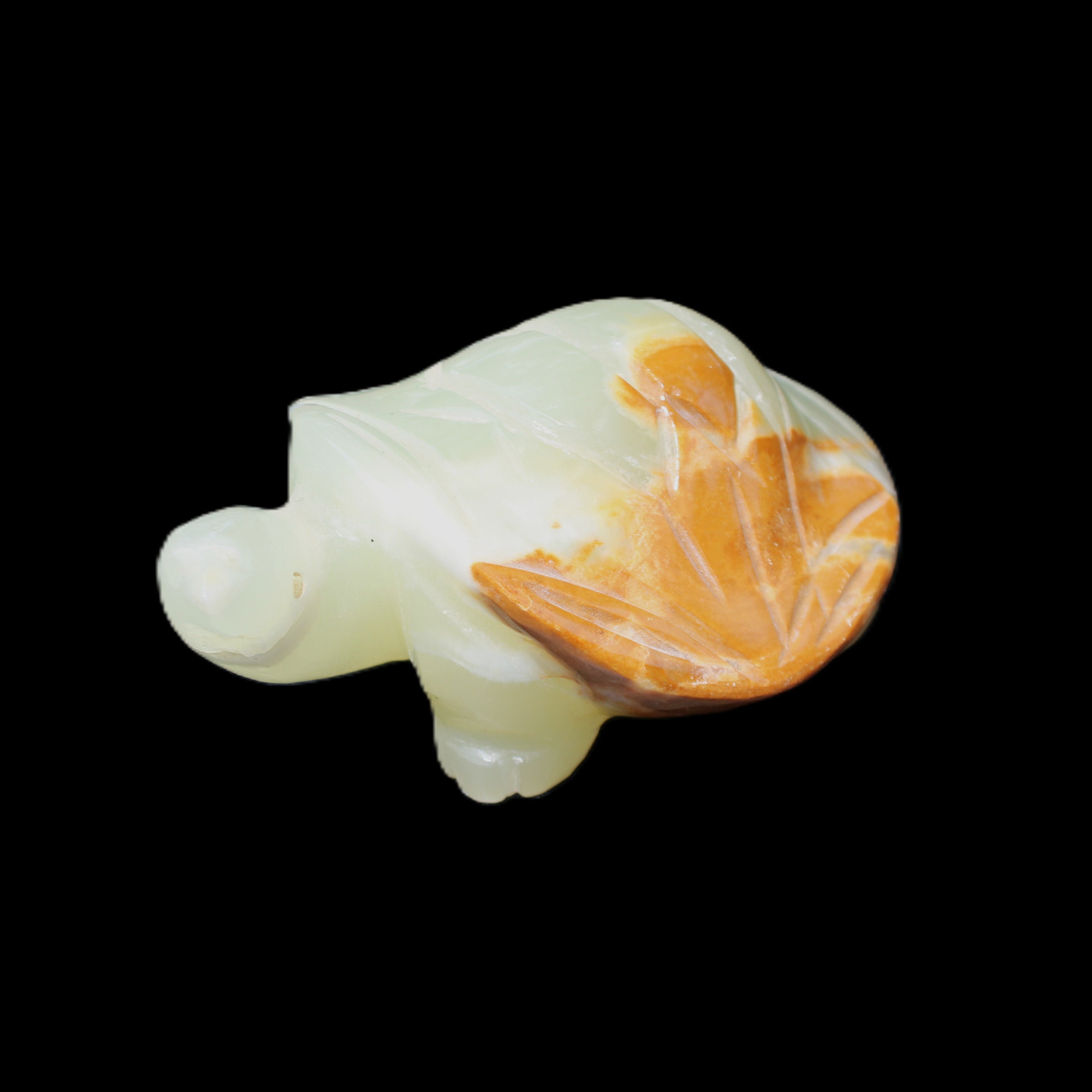 Afghan Jade Turtle hand-carved 85*60*37mm 183g in sunlight - Rocks and Things Store