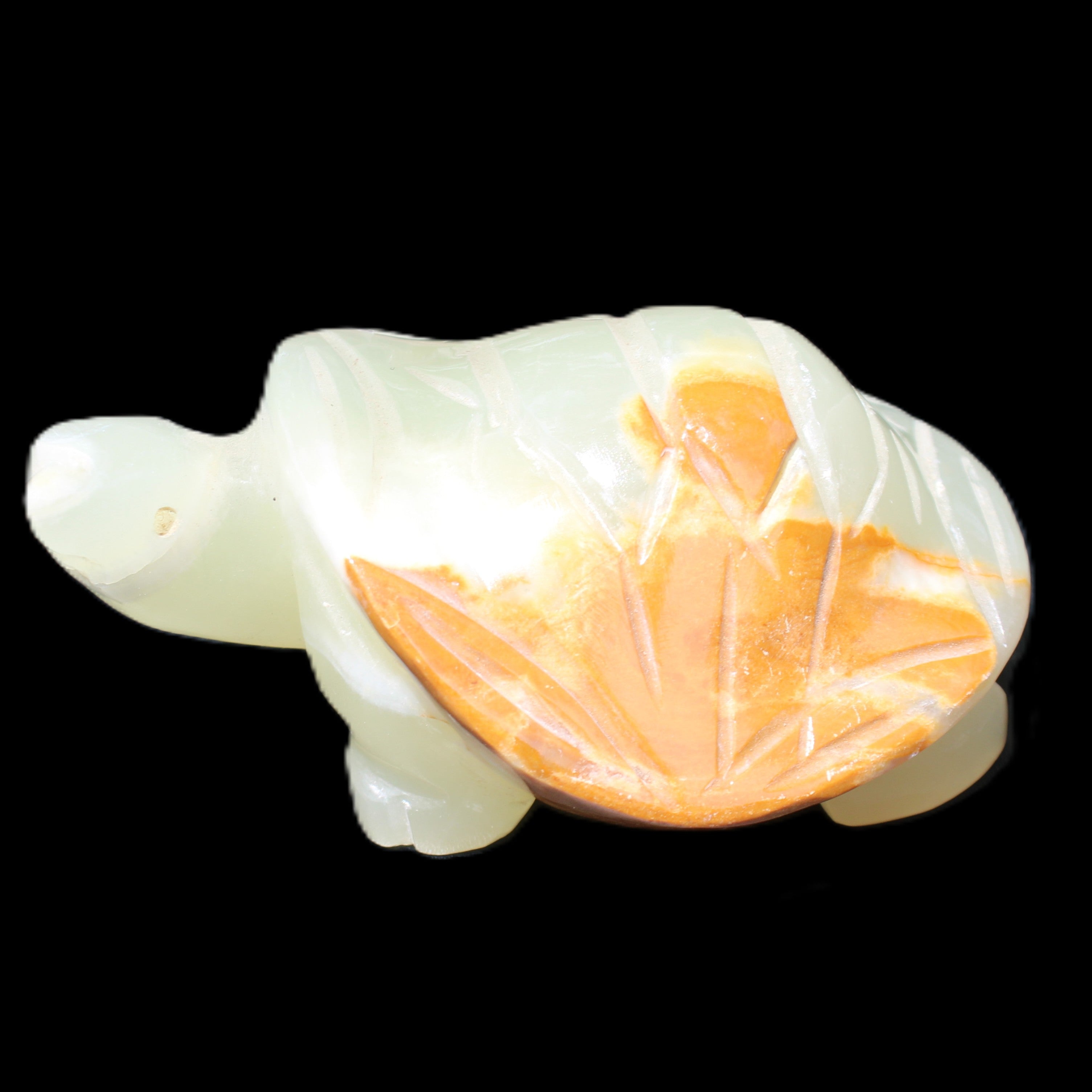 Afghan Jade Turtle hand-carved 85*60*37mm 183g in sunlight - Rocks and Things Store