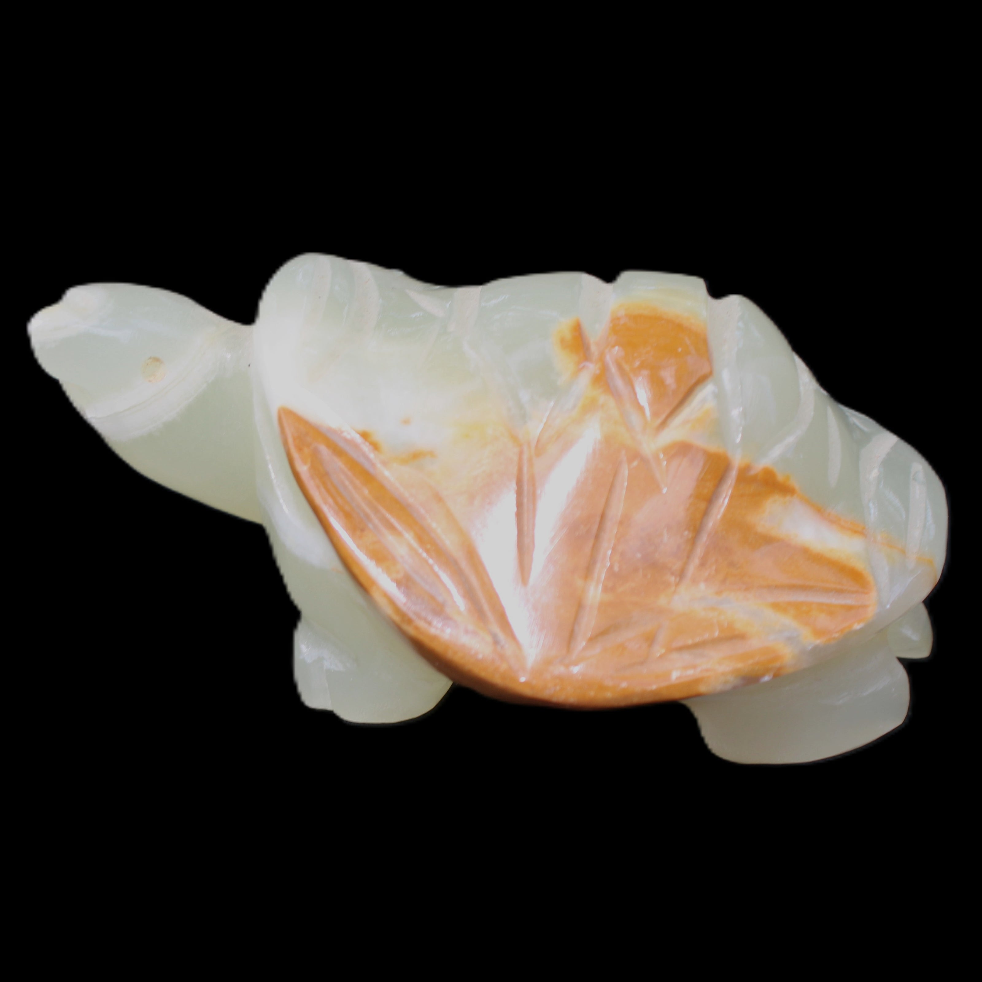 Afghan Jade Turtle hand-carved 85*60*37mm 183g in sunlight - Rocks and Things Store