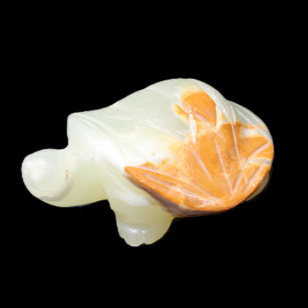 Afghan Jade Turtle hand-carved 85*60*37mm 183g in sunlight - Rocks and Things Store