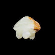 Afghan Jade Turtle hand-carved 85*60*37mm 183g in sunlight - Rocks and Things Store