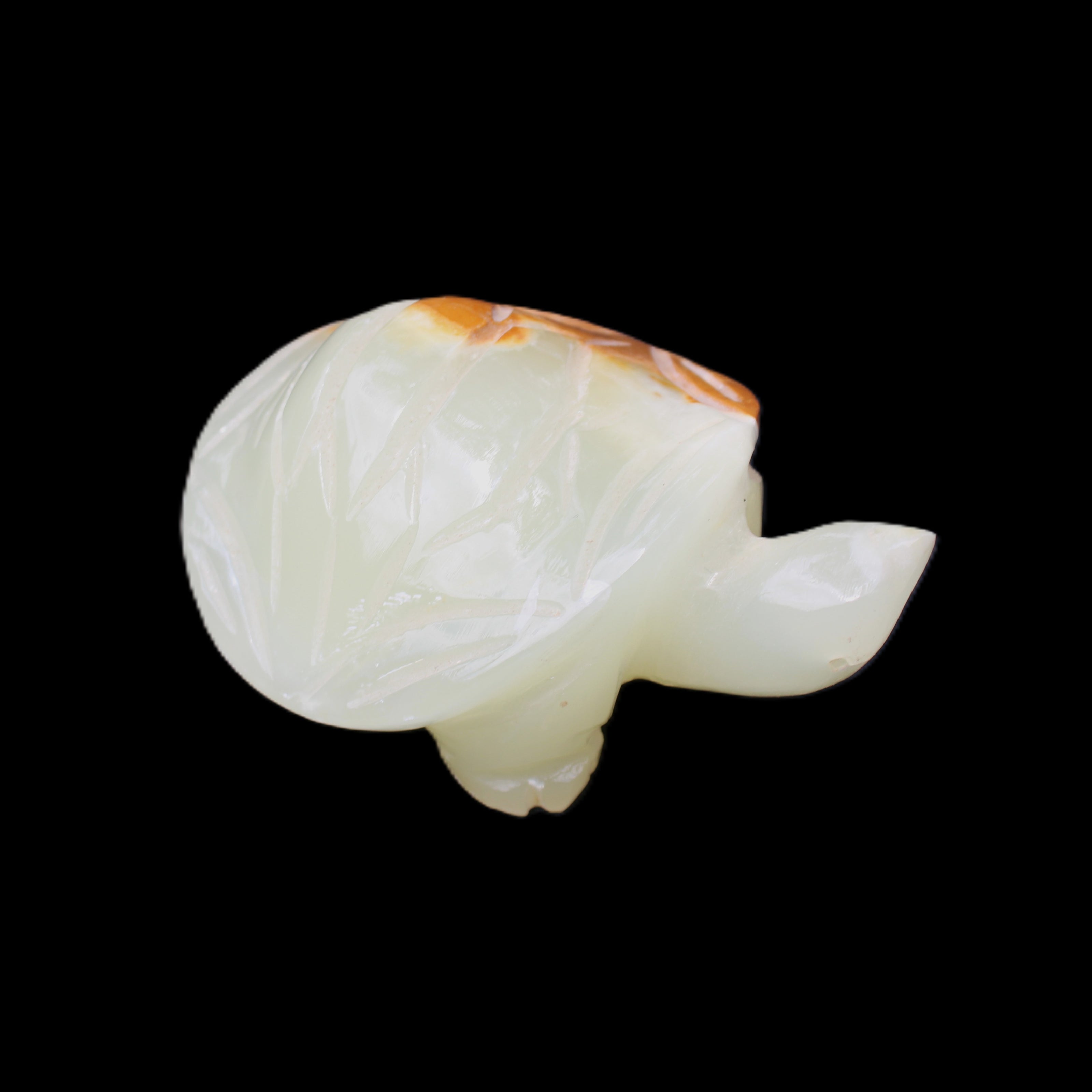 Afghan Jade Turtle hand-carved 85*60*37mm 183g in sunlight - Rocks and Things Store