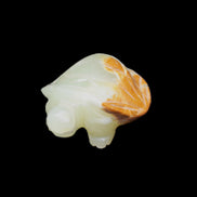 Afghan Jade Turtle hand-carved 85*60*37mm 183g in sunlight - Rocks and Things Store