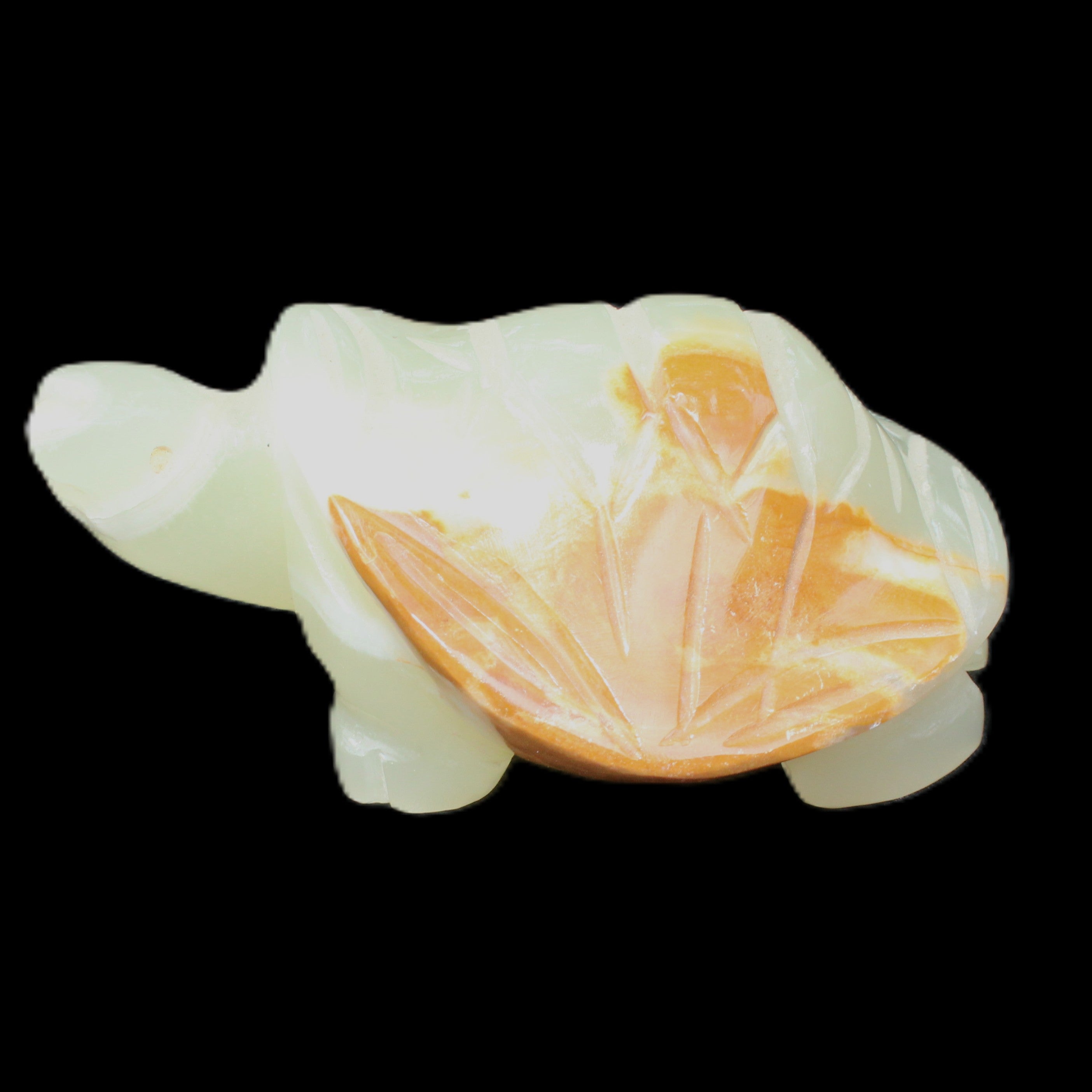 Afghan Jade Turtle hand-carved 85*60*37mm 183g in sunlight - Rocks and Things Store