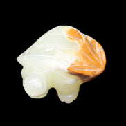 Afghan Jade Turtle hand-carved 85*60*37mm 183g in sunlight - Rocks and Things Store