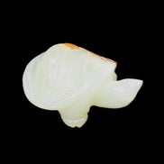 Afghan Jade Turtle hand-carved 85*60*37mm 183g in sunlight - Rocks and Things Store