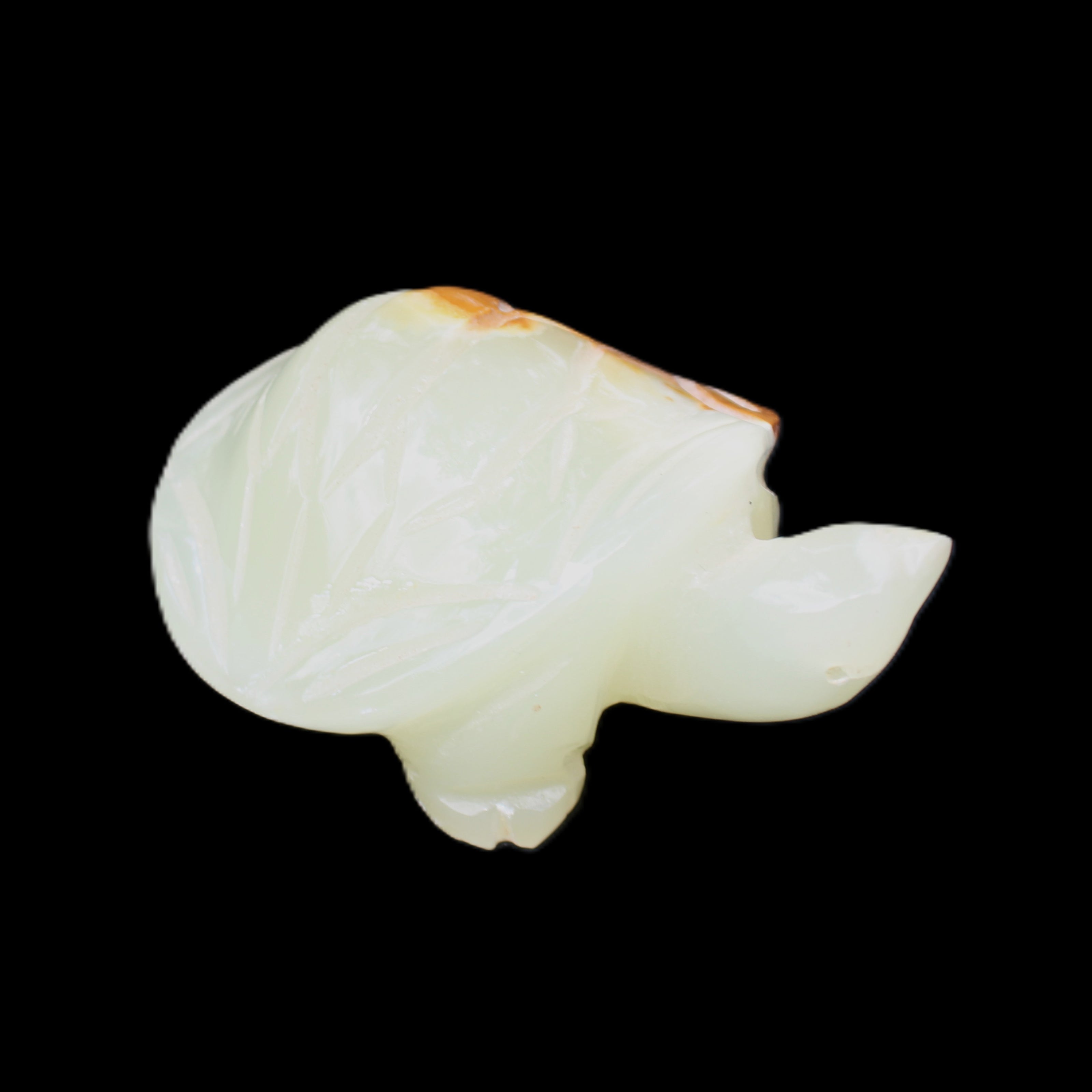 Afghan Jade Turtle hand-carved 85*60*37mm 183g in sunlight - Rocks and Things Store